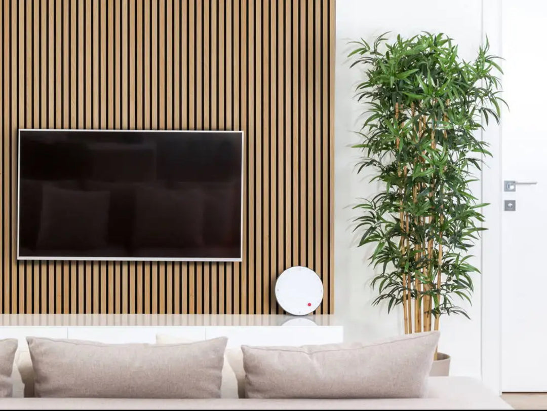 A room with light oak wood effect veneer wall panels and a flat-screen television mounted on the wall, alongside a tall indoor plant.