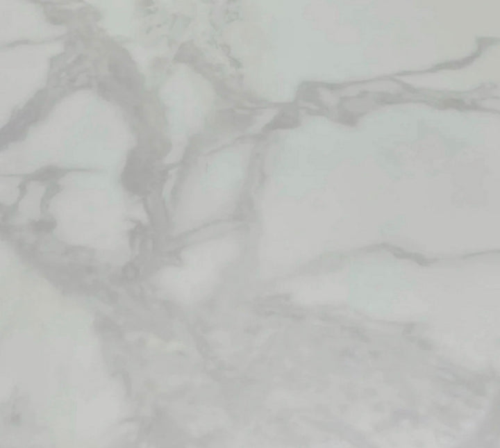 Denver Marble Dining Table Light Grey + Majestic Dining Chairs Lion Knocker